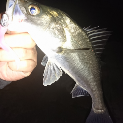 まったりリバーゲーム