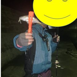 のんびりアジングと尺アジ情報