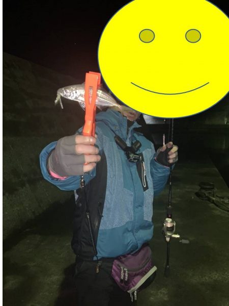 のんびりアジングと尺アジ情報