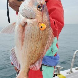 遊漁船 ニライカナイ 釣果