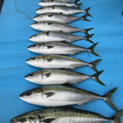 まるいち丸 ZERO-1 釣果