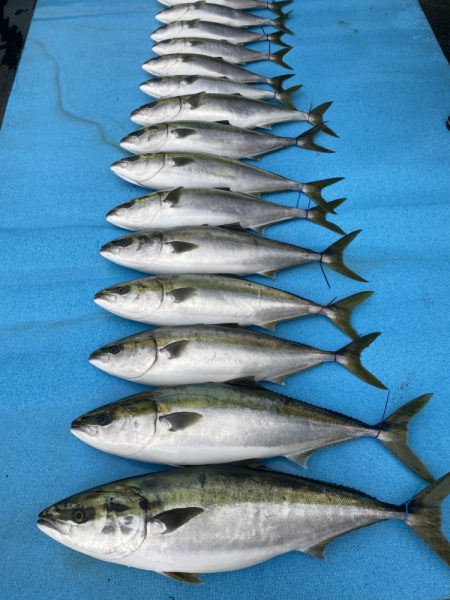 まるいち丸 ZERO-1 釣果