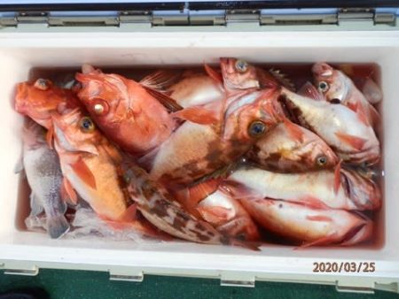 第二むつ漁丸 釣果