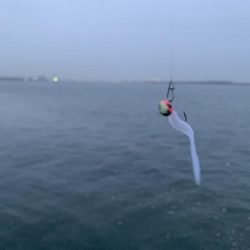 ナイトメバリング〜(๑˃̵ᴗ˂̵)