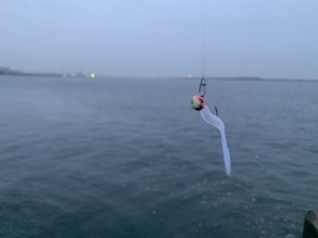 ナイトメバリング〜(๑˃̵ᴗ˂̵)