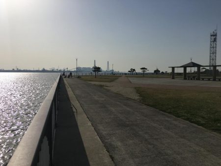 夜カサゴ、朝カサゴ、昼カレイ