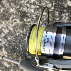 3月13日キビレゲーム