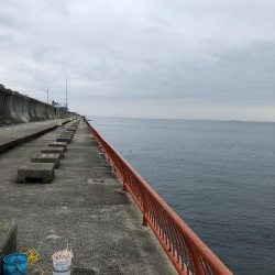 初めてのメバルゲット