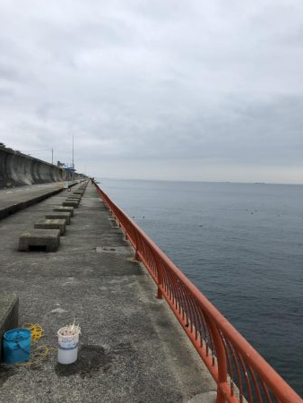 初めてのメバルゲット