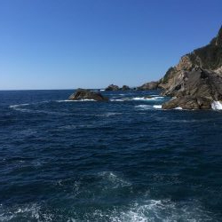 大島ミッチャの釣果