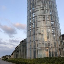 今日も朝から…