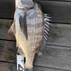 イチノ兄弟、釣果!