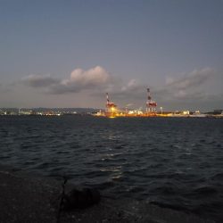 久々のシーバス65センチ