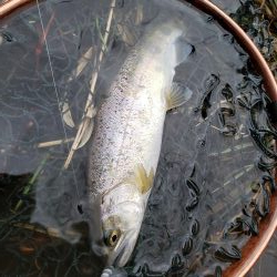 雨上がり活性高し！