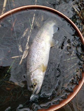 雨上がり活性高し！