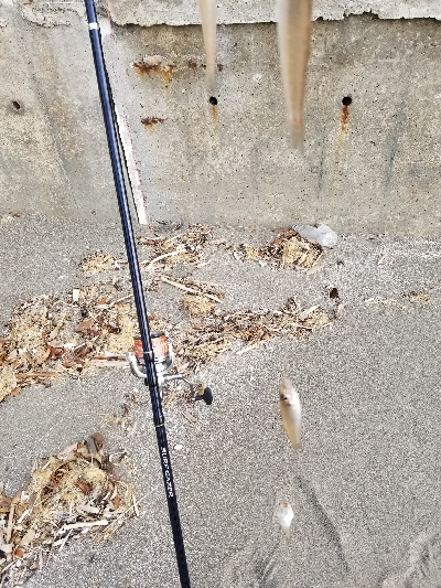 今年、初釣り‼️