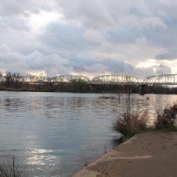 シャッドテールワームシーズン到来！！