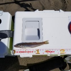 前回と同数でした！