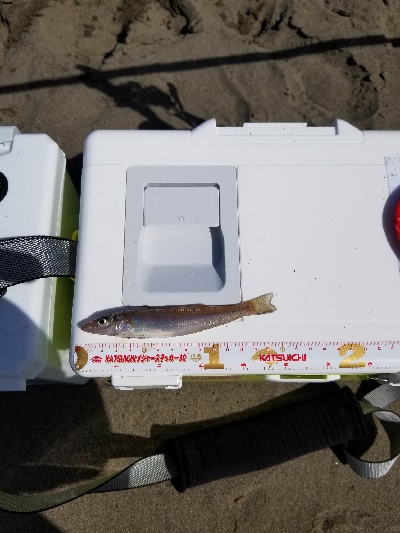 前回と同数でした！