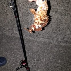 2020年3月25日釣行