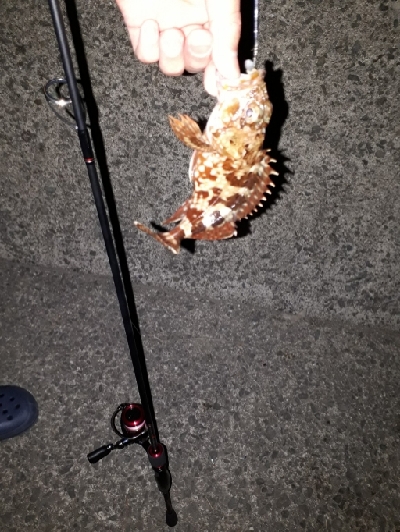 2020年3月25日釣行