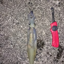 やっと釣れたー！