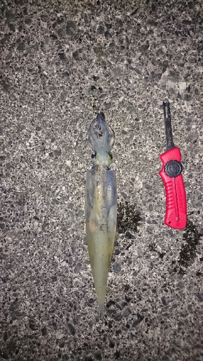 やっと釣れたー！