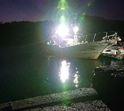 トロ丸で中深海ジギング