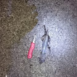 平日でも満員御礼