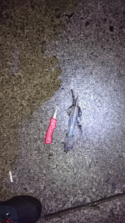 平日でも満員御礼