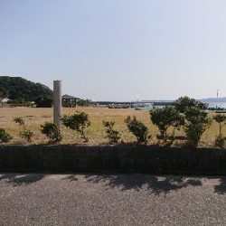 まだ、居ました❗