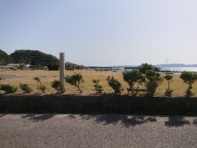 まだ、居ました❗