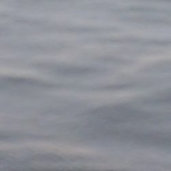 雨が止んだら気配がなくなった