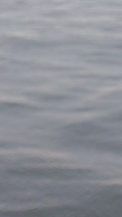 雨が止んだら気配がなくなった