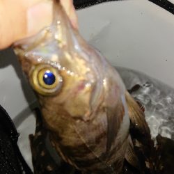 短時間入れ食い！