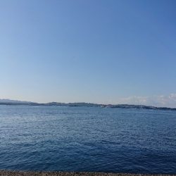 人生初サワラ83cm!