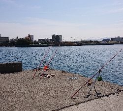 カレイ狙い、他