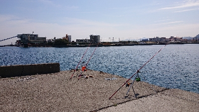 カレイ狙い、他