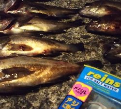 予想的中ヤッホー