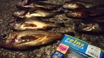 予想的中ヤッホー