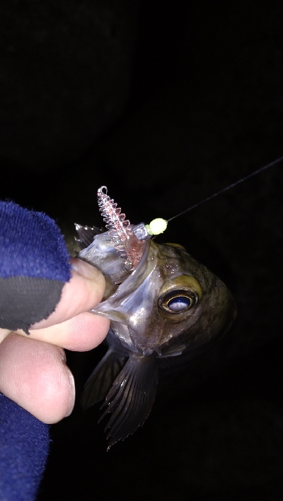 ナイトメバリング