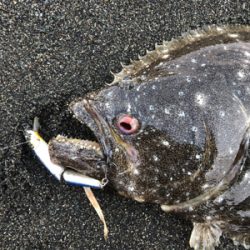 手負いの座布団