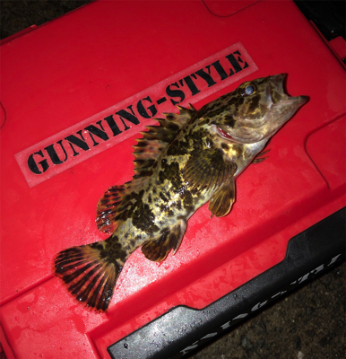 雨の中見つけた☆GUNNING-STYLE