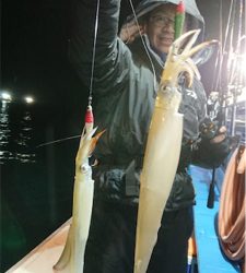 今年初イカメタルはヤリイカ