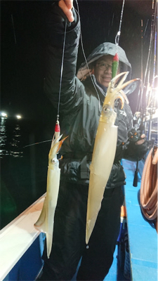 今年初イカメタルはヤリイカ