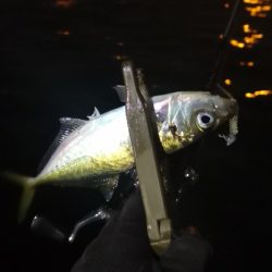 アジング 練習 120