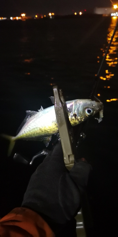 アジング 練習 120