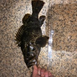 タケノコ狩り。