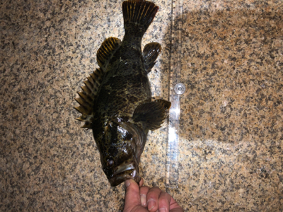 タケノコ狩り。