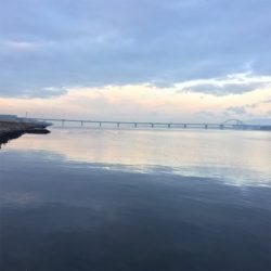 淀川ブリームゲーム